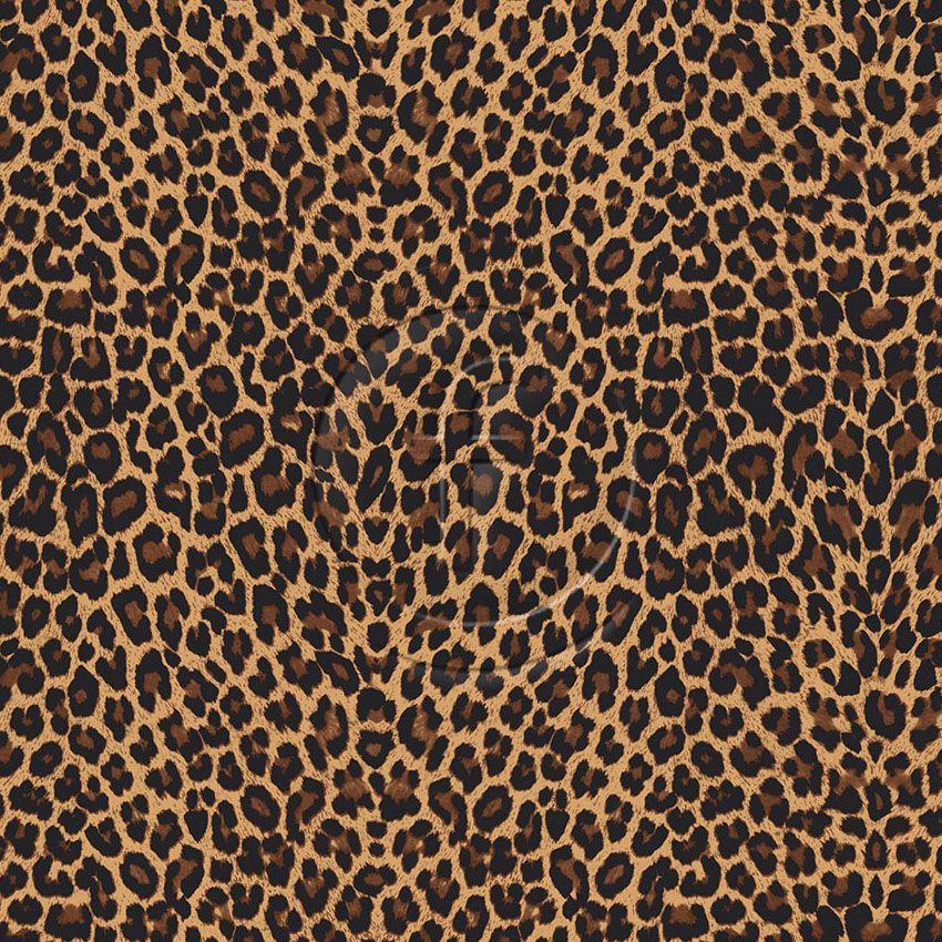 Cheetah Two, Cartoon, Animal Printed Stretch Fabric: Brown/Neutral
