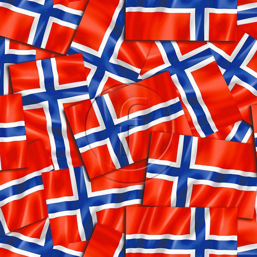 Team Norway, Flag Printed Stretch Fabric: Red