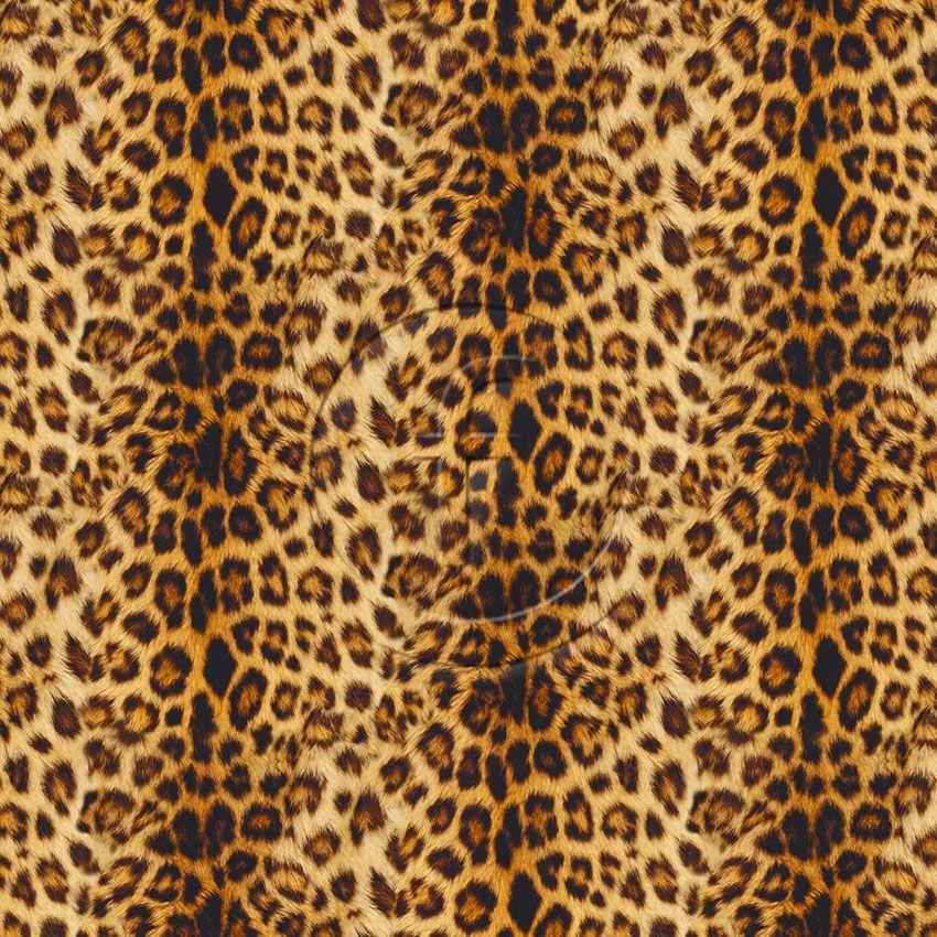 Leopard Stripe, Animal Printed Stretch Fabric: Neutral