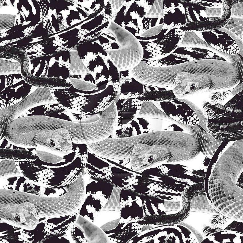 Snake Black White, Animal Printed Stretch Fabric