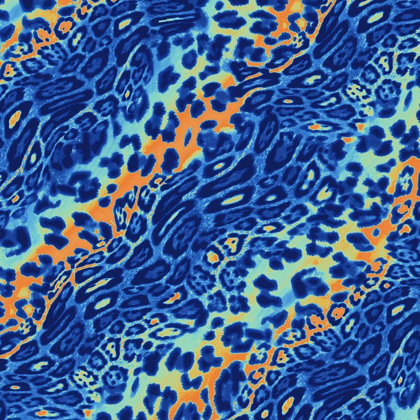 Digital Jungle Fever Orange Blue, Animal Printed Stretch Fabric