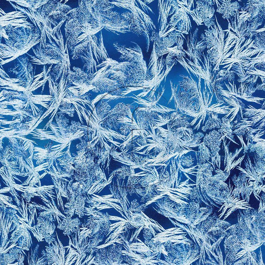 Elsa Blue, Christmas, Textured Printed Stretch Fabric