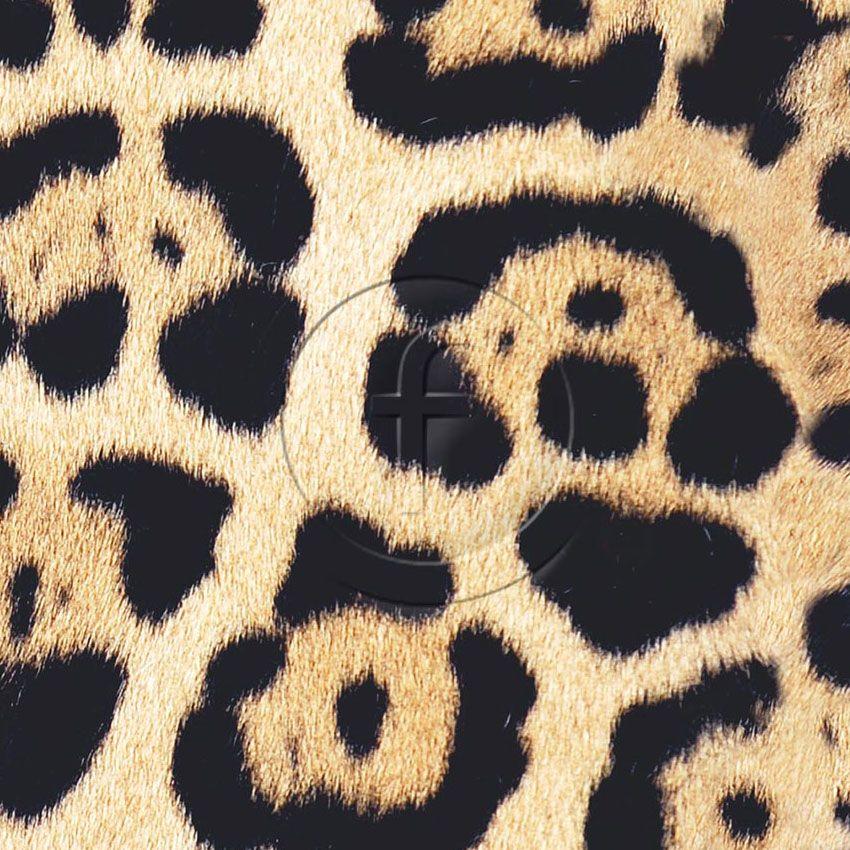 Leopard Spot Maxi Light Natural, Animal, Textured Scalable Stretch Fabric: Neutral