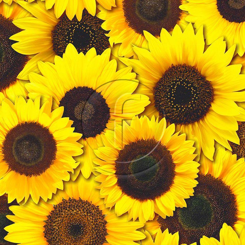 Sunflowers Yellow, Floral, Image Scalable Stretch Fabric