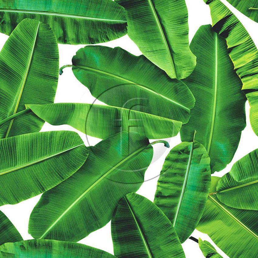 Banana Leaves - Colourme - Patterned Custom Coloured & Scalable Stretch Fabric