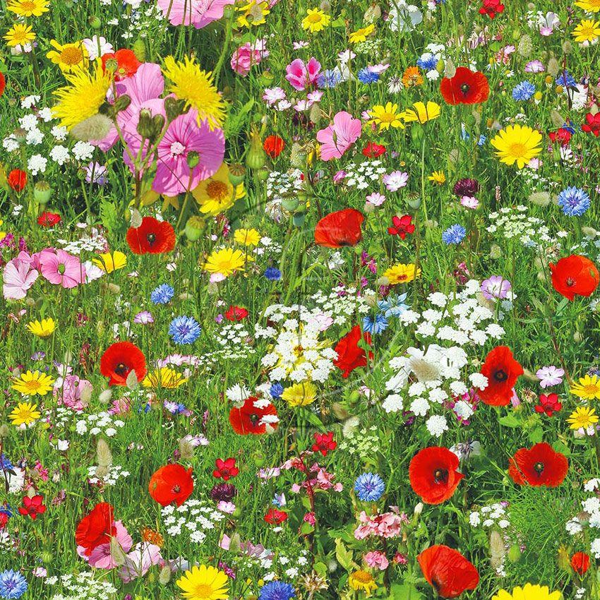 Poppy Meadow, Floral, Image Scalable Stretch Fabric: Multicolour