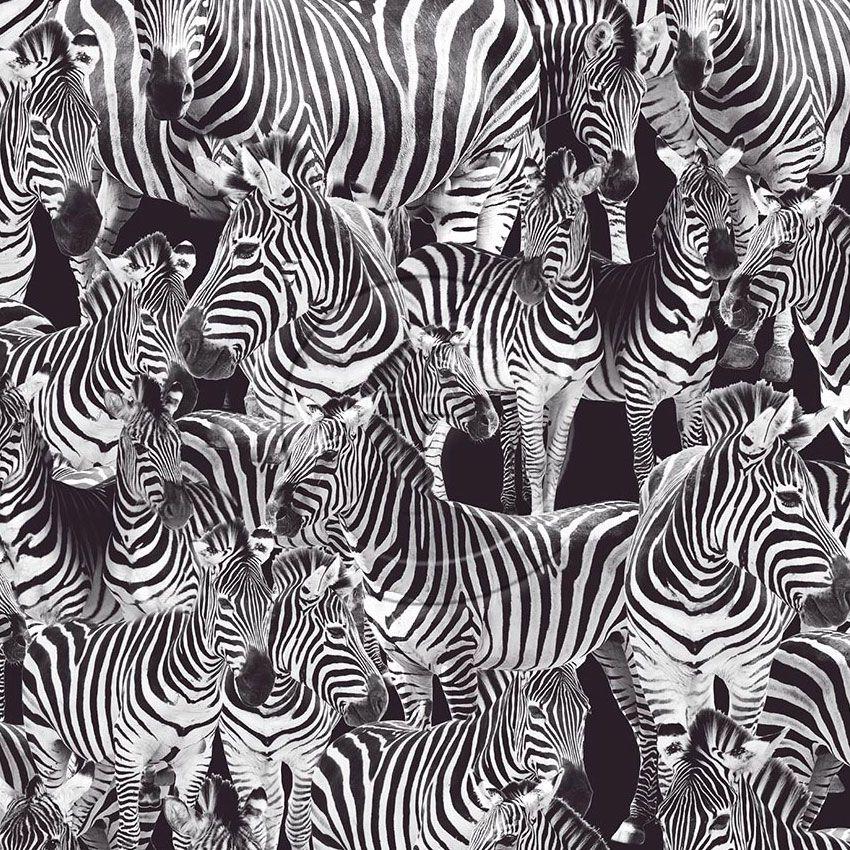 Zebra Dazzle, Animal Scalable Stretch Fabric: Black/Silver/Grey