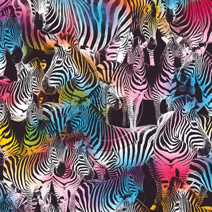 Zebra Dazzle Multicolour, Animal Scalable Stretch Fabric