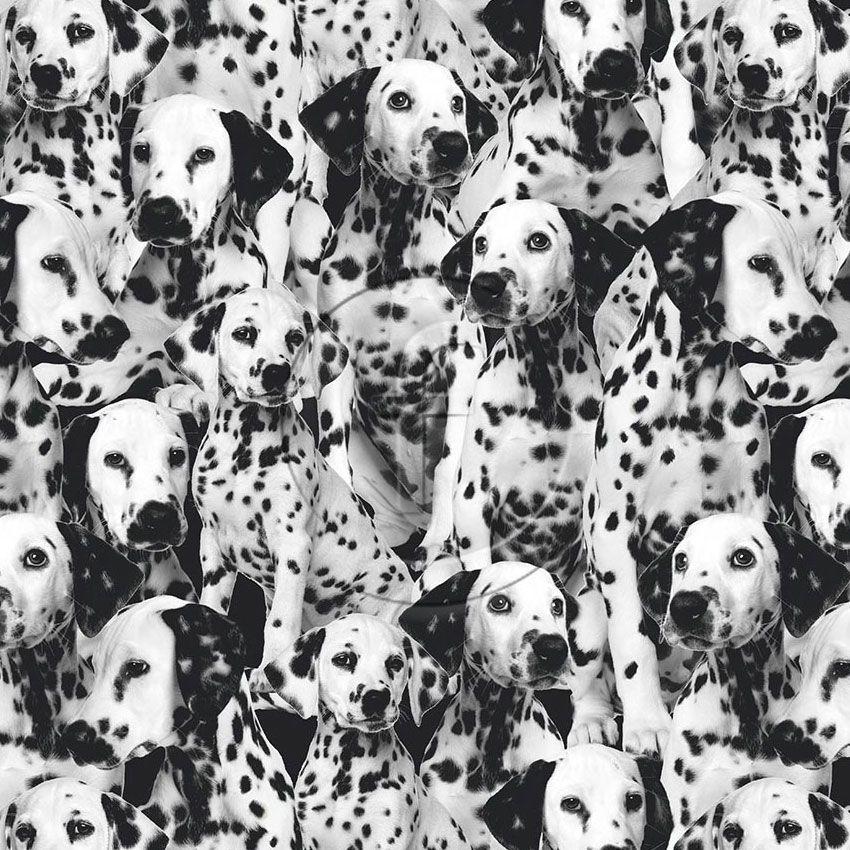 Pongo Black & White - Scalable Printed Stretch Fabric