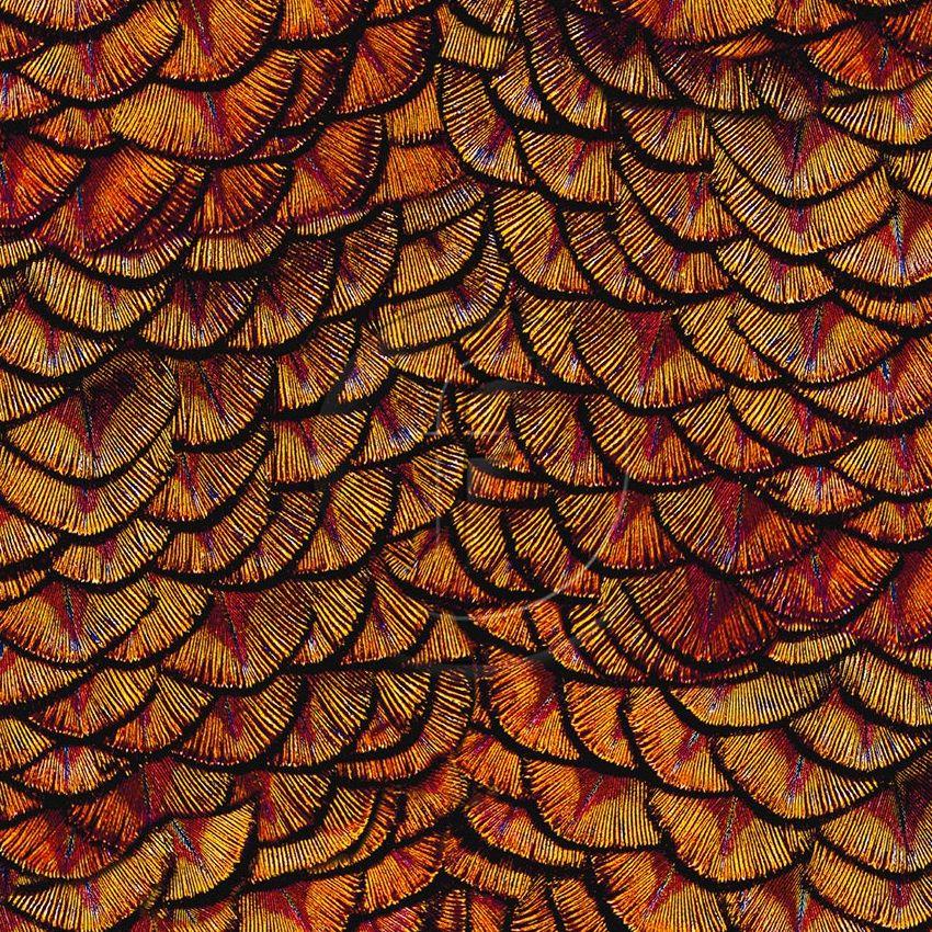 Dragon Scales Autumn - Scalable Patterned Stretch Fabric